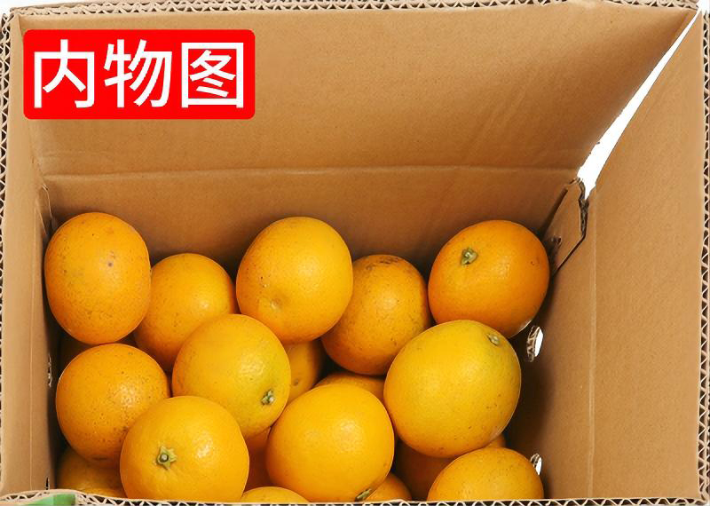 内物图.jpg