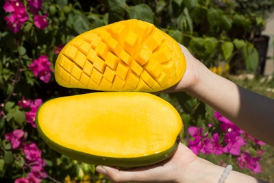 大青芒（老树果）一件代发（源头直发）