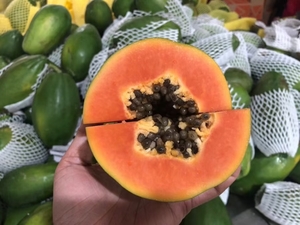 红心木瓜